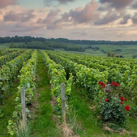 Maison De Champagne F.Barbier ! Avize Ngoại thất bức ảnh
