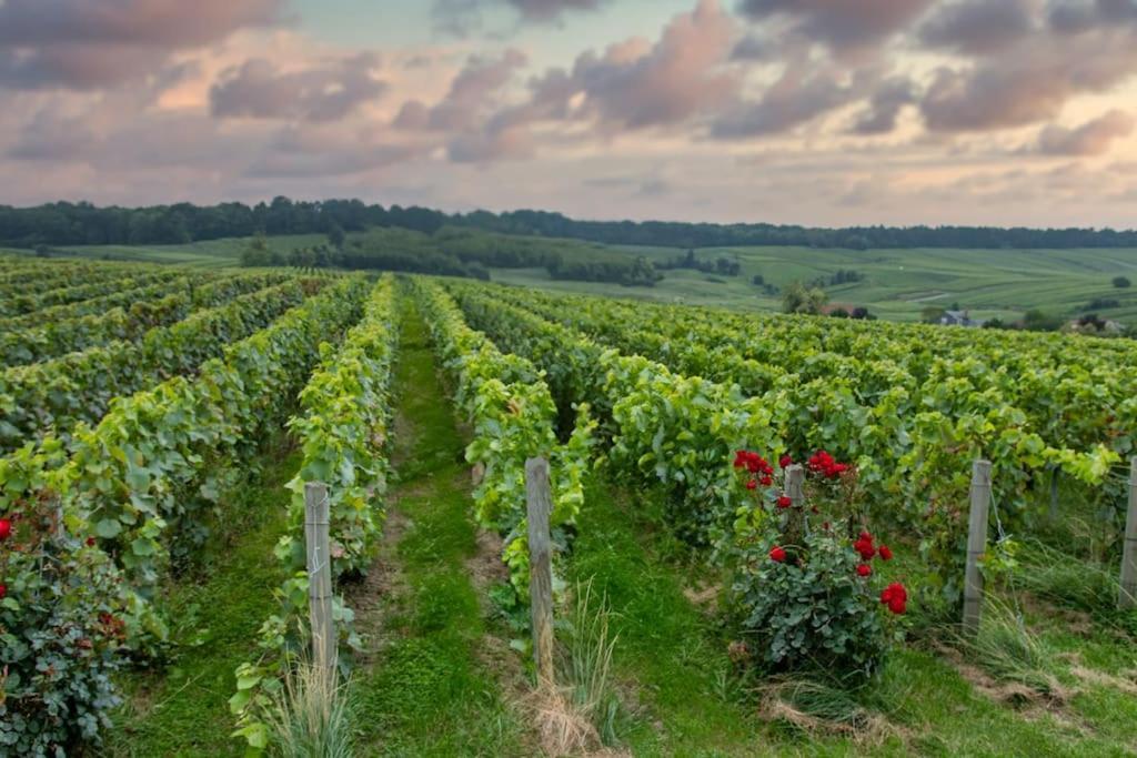 Maison De Champagne F.Barbier ! Avize Ngoại thất bức ảnh